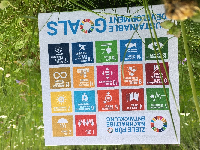 Papier-Aufsteller im Gras, auf dem die 17 Nachhaltigkeitsziele bunt abgebildet sind